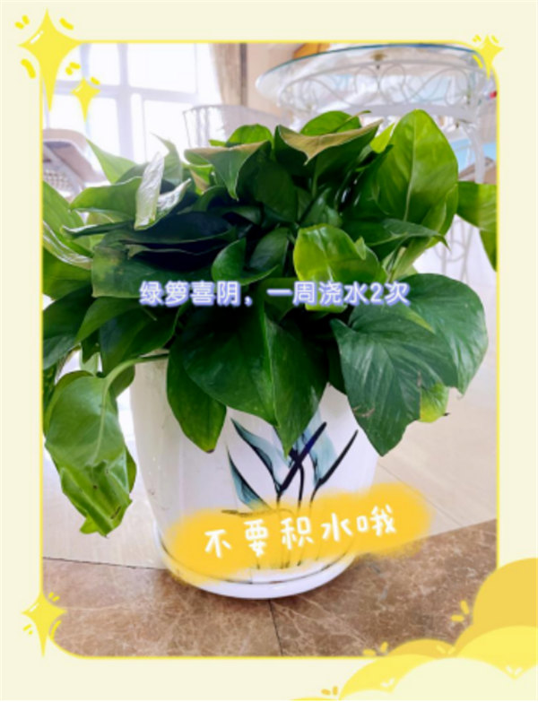 48ff2aea719f04a5ed2d29933cb12b3.png